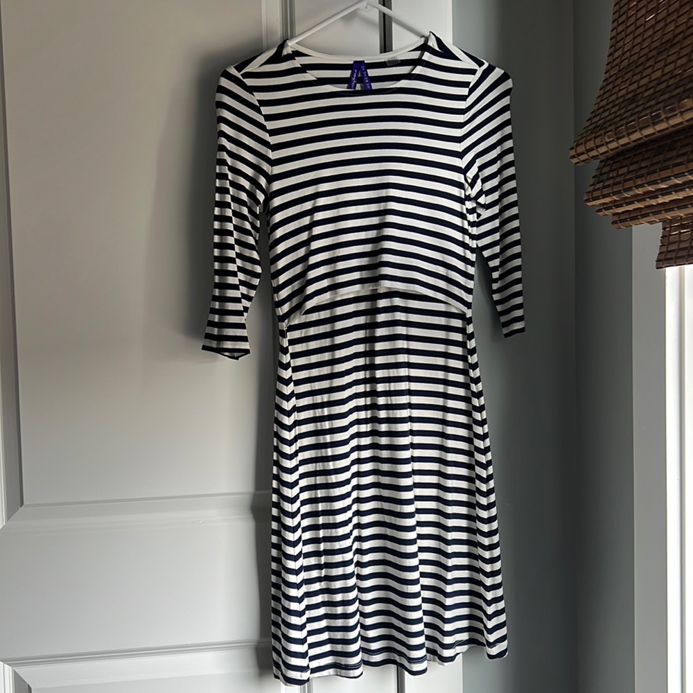 Seraphine Maternity/Nursing Dress